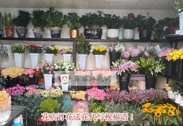 西双版纳勐腊县花店订花送花代写祝福语!