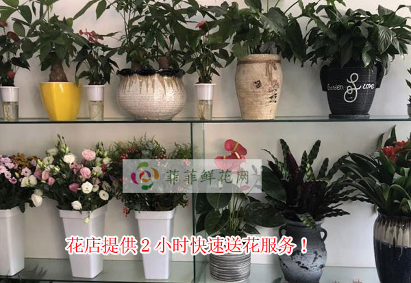 西双版纳勐腊县花店提供西双版纳勐腊县2小时快速送花服务